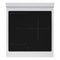 Autograph Edition 24 In. 3.2 Cu. Ft. Paramount Induction Range With 3 Element Cooktop And Electric Convection Oven In Satin Stainless Steel With Polished Gold Accents
