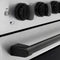Autograph Edition 24 In. 3.2 Cu. Ft. Paramount Induction Range With 3 Element Cooktop And Electric Convection Oven In Satin Stainless Steel With Matte Black Accents