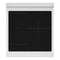 Autograph Edition 24 In. 3.2 Cu. Ft. Paramount Induction Range With 3 Element Cooktop And Electric Convection Oven In Stainless Steel With Polished Gold Accents