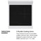 Autograph Edition 24 In. 3.2 Cu. Ft. Paramount Induction Range With 3 Element Cooktop And Electric Convection Oven In Stainless Steel With Polished Gold Accents