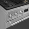 Range with Gas Hob 30" Aesthetic