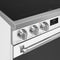 Range with Induction Hob 30" Aesthetic