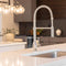 Sierra Pull Down Spring Single Handle Kitchen Faucet In Chrome