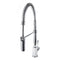 Sierra Pull Down Spring Single Handle Kitchen Faucet In Chrome