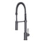 Autograph Edition Sierra Pull Down Spring Single Handle Kitchen Faucet In Matte Black