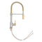 Autograph Edition Sierra Pull Down Spring Single Handle Kitchen Faucet In Brushed Nickel And Champagne Bronze