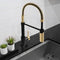 Autograph Edition Sierra Pull Down Spring Single Handle Kitchen Faucet In Matte Black And Champagne Bronze