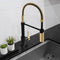 Autograph Edition Sierra Pull Down Spring Single Handle Kitchen Faucet In Matte Black And Champagne Bronze