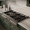 48 In. Paramount Gas Rangetop With 8 Burners And Porcelain Cooktop In Stainless Steel