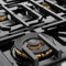 48 In. Paramount Gas Rangetop With 8 Brass Burners And Porcelain Cooktop In Black Stainless Steel