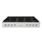 48 In. Paramount Gas Rangetop With 8 Brass Burners And Porcelain Cooktop In Stainless Steel