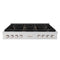 48 In. Paramount Gas Rangetop With 8 Brass Burners And Porcelain Cooktop In Stainless Steel