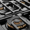 Autograph Edition 48 In. Paramount Gas Rangetop With 8 Burners And Porcelain Cooktop In Black Satin Stainless Steel With Champagne Bronze Accents