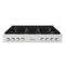 48 In. Paramount Gas Rangetop With 8 Brass Burners And Porcelain Cooktop In Satin Stainless Steel