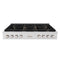 48 In. Paramount Gas Rangetop With 8 Brass Burners And Porcelain Cooktop In Satin Stainless Steel