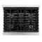 Autograph Edition 30 In. Paramount Gas Rangetop With 4 Burners And Porcelain Cooktop In Satin Stainless Steel With Polished Gold Accents