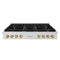 Autograph Edition 48 In. Paramount Gas Rangetop With 8 Burners And Porcelain Cooktop In Stainless Steel With Polished Gold Accents