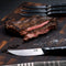 4-Piece Professional German Steel Steak Knife Set