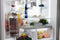 Freedom® Freestanding French Door Bottom Mount Refrigerator 36'' Professional