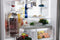 Freedom® Freestanding French Door Bottom Mount Refrigerator 36''