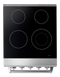 24 Inch Professional Electric Range
