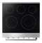 THOR Kitchen 30-Inch Electric Range - Professional (Discontinued)