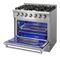 36 Inch Professional Liquid Propane Range