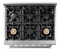 36 Inch Professional Liquid Propane Range