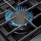 30 Inch Liquid Propane Range, 5 Burner Convection Oven Thor Kitchen