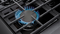36 Inch Freestanding Gas Range, 6 Burner Convection Oven Thor Kitchen