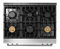 36 Inch Tilt Panel Gas Range Professional