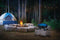 TravelQ™ 285 Portable Gas Grill