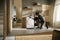 T1 Heat‑Pump Dryer: With Miele@home and FragranceDos for laundry that smells great.