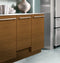 18" Panel-ready Dishwasher