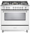 36" Designer Gas Range