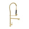 Autograph Edition Van Gogh Pull Down Spring Kitchen Faucet With Pot Filler In Polished Gold
