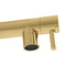 Autograph Edition Van Gogh Pull Down Spring Kitchen Faucet With Pot Filler In Polished Gold