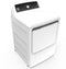 Ge® 7.4 Cu. Ft. Capacity Aluminized Alloy Drum Commercial Gas Dryer With Sensor Dry, Built-in App Payment System Site Wifi Required