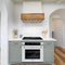 30 In. Professional True Convection Single Wall Oven With Air Fry And Self Clean In Stainless Steel With White Matte Door