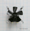 Range Fan & Motor Assembly