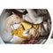 WED5620HW-105510007.webp