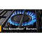 5.0 Cu. Ft. Gas Range with Frozen Bake™ Technology