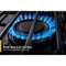 5.0 Cu. Ft. Gas Range with Frozen Bake™ Technology