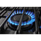 5.0 Cu. Ft. Gas Range with Frozen Bake™ Technology