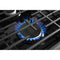 5.1 Cu. Ft. Freestanding Gas Range with Broiler Drawer