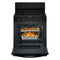 30-inch Gas Range with Air Cooking Technology and Steam Clean