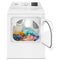 7.0 cu. ft. Gas Dryer with Adaptive Dry - Vented Top Load Matching