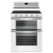 6.0 Cu. Ft. Gas Double Oven Range with EZ-2-Lift™ Hinged Grates