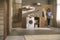 W1 front‑loading washing machine: With CapDosing and Miele@home for smart laundry care.