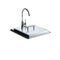 Drop-in Sink and Faucet